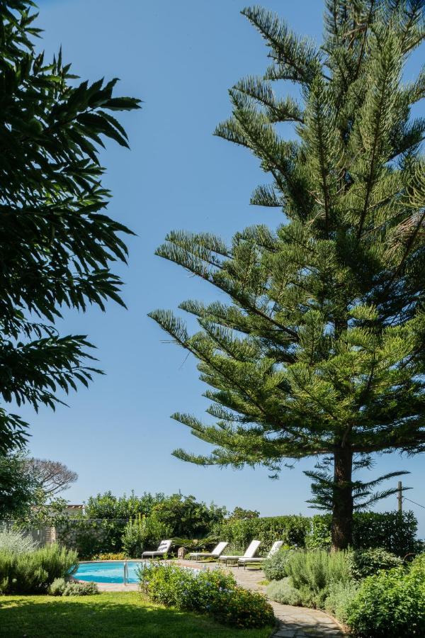 Villa gli Ulivi Anacapri  Esterno foto
